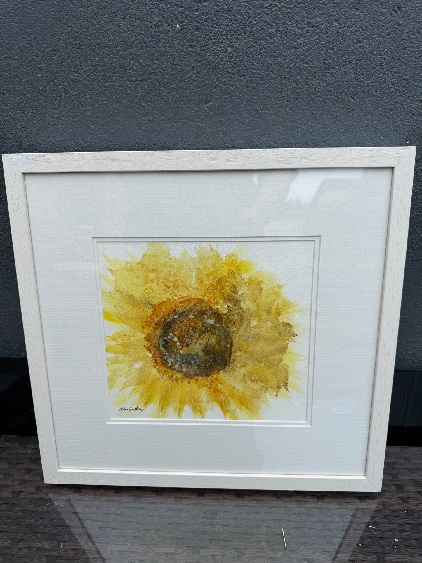 Sunflower Study
