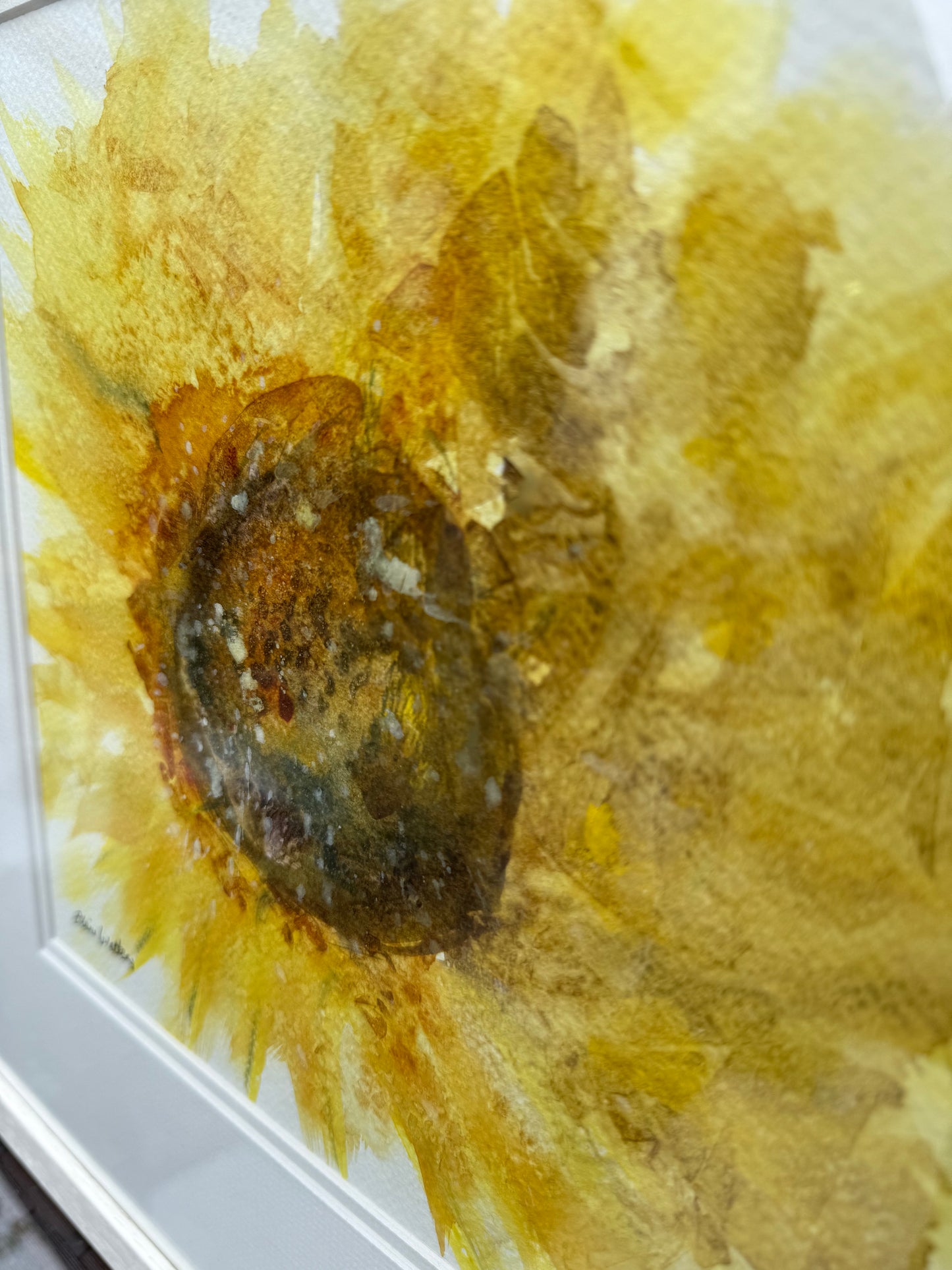 Sunflower Study