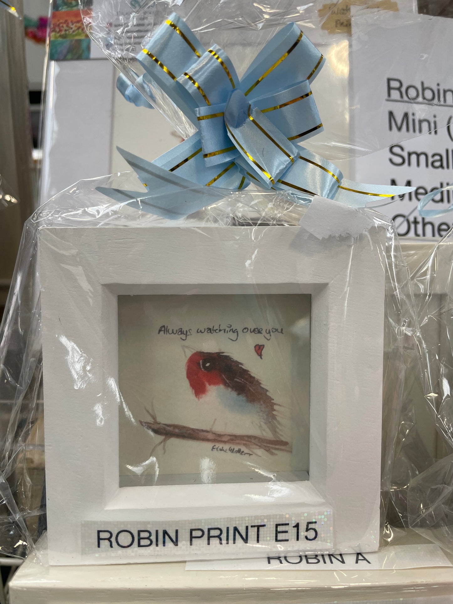 Robin mini gift set          ‘Always Watching’