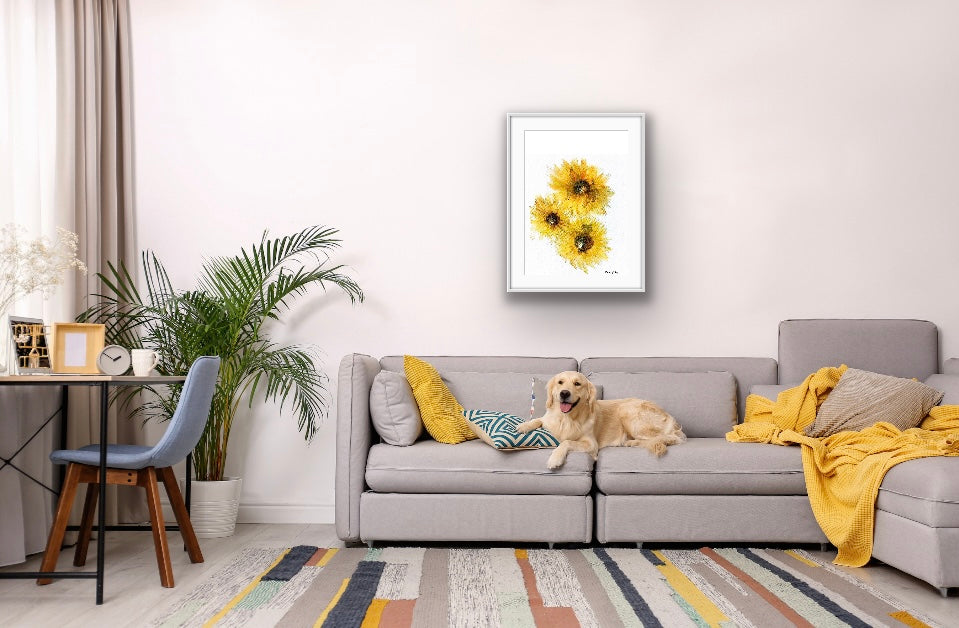 Original Art-Watercolour -Sunflower Trio