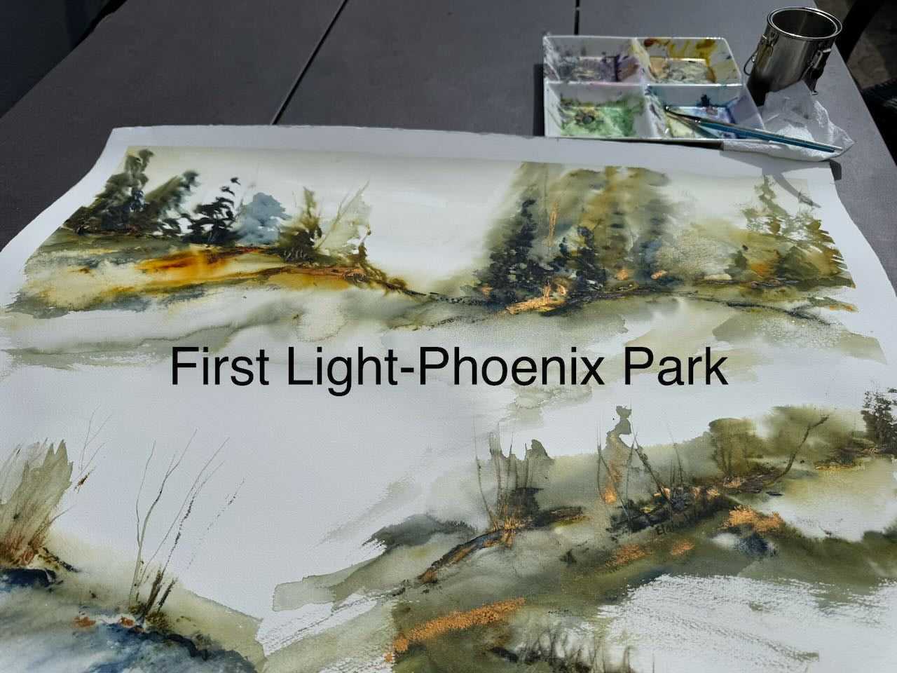 First Light-Phoenix Park