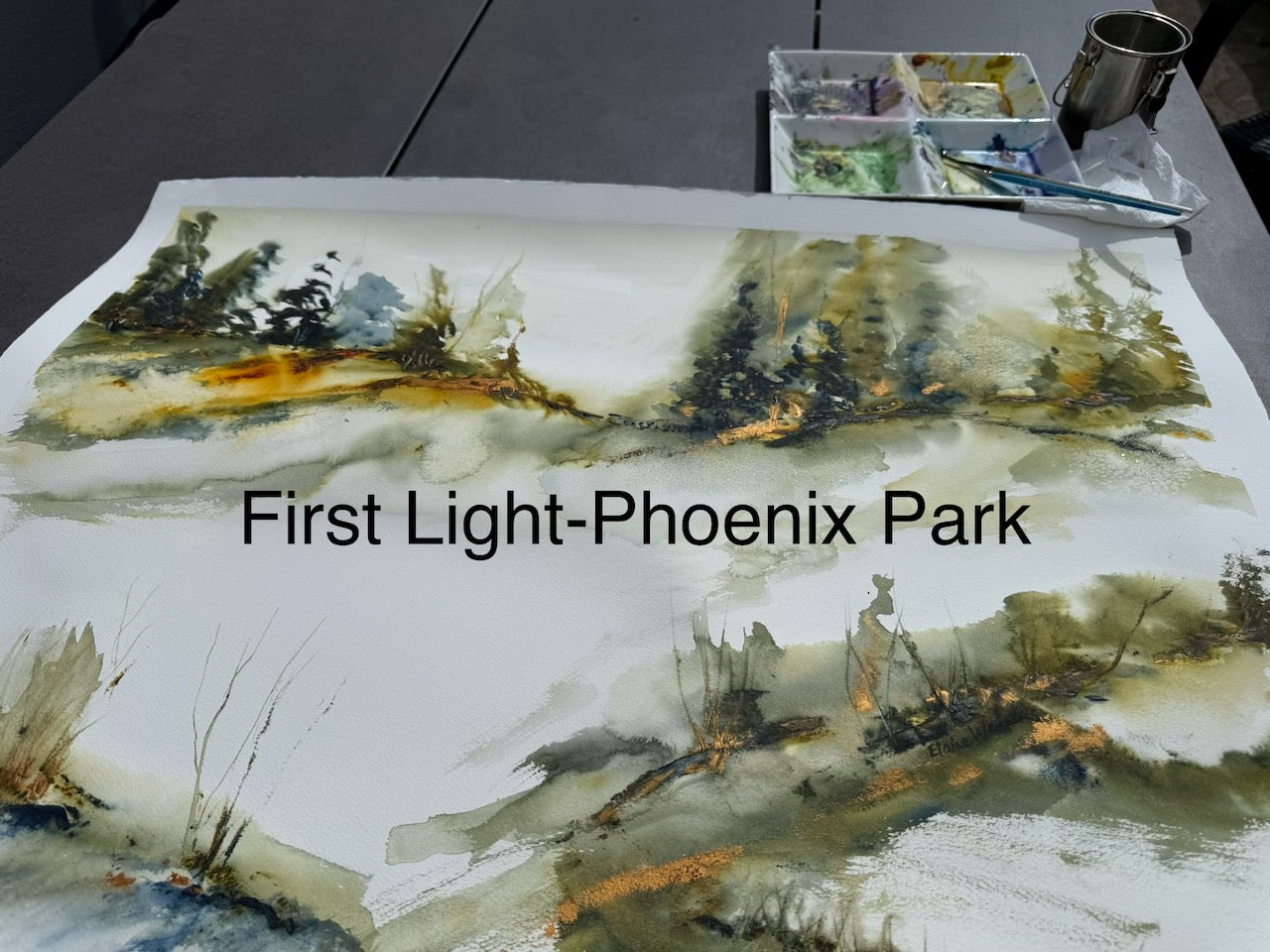 First Light -Phoenix Park