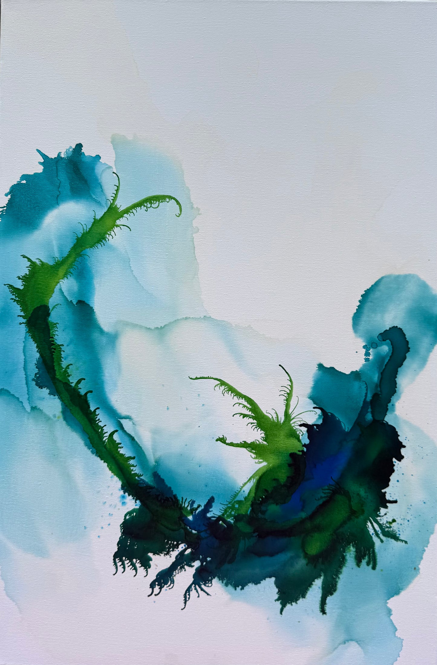 Where the kelp dances