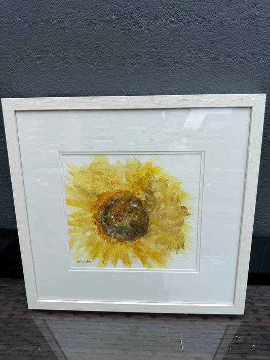 Sunflower Study