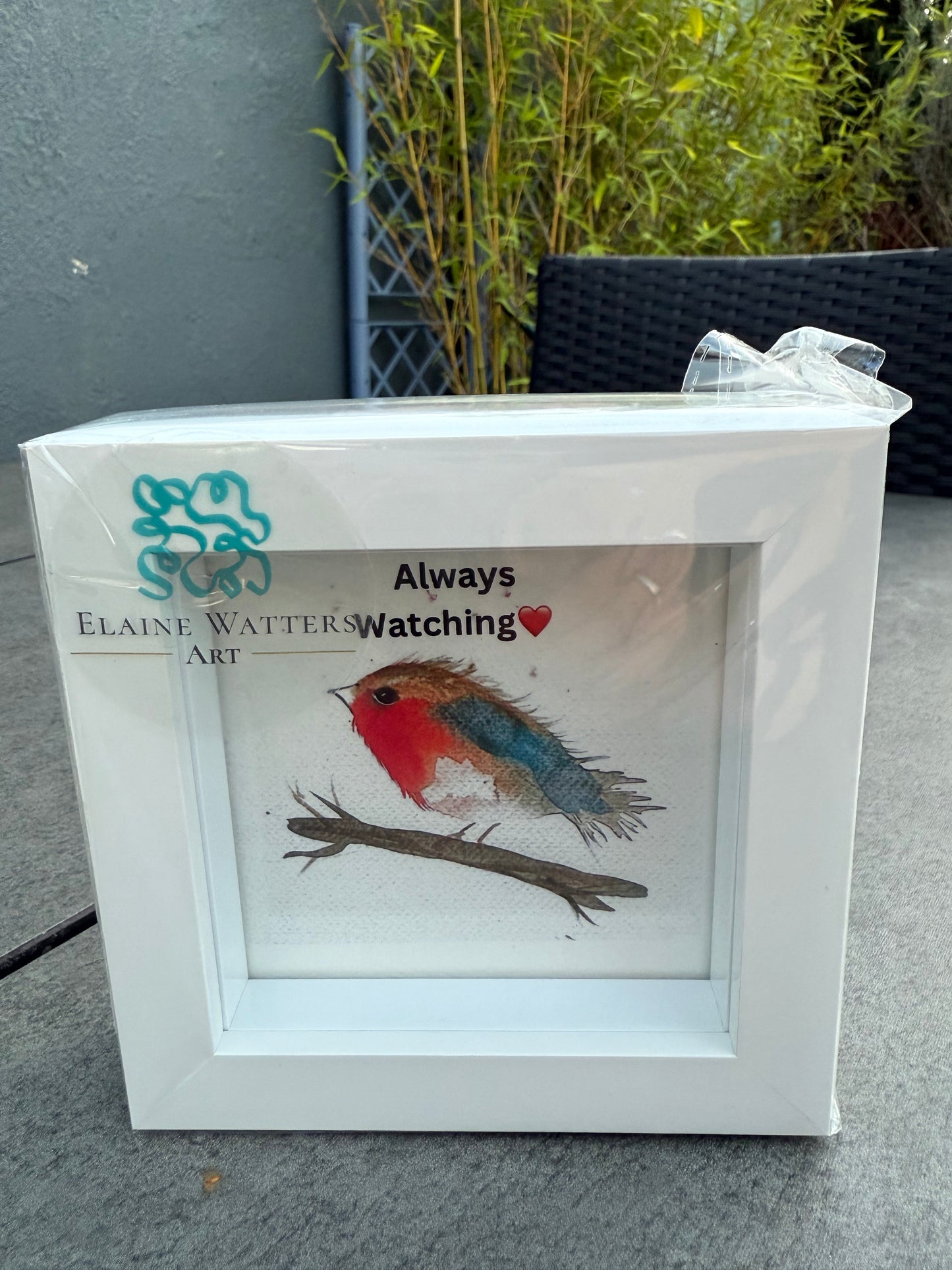 Robin Framed Print 4x4 inches