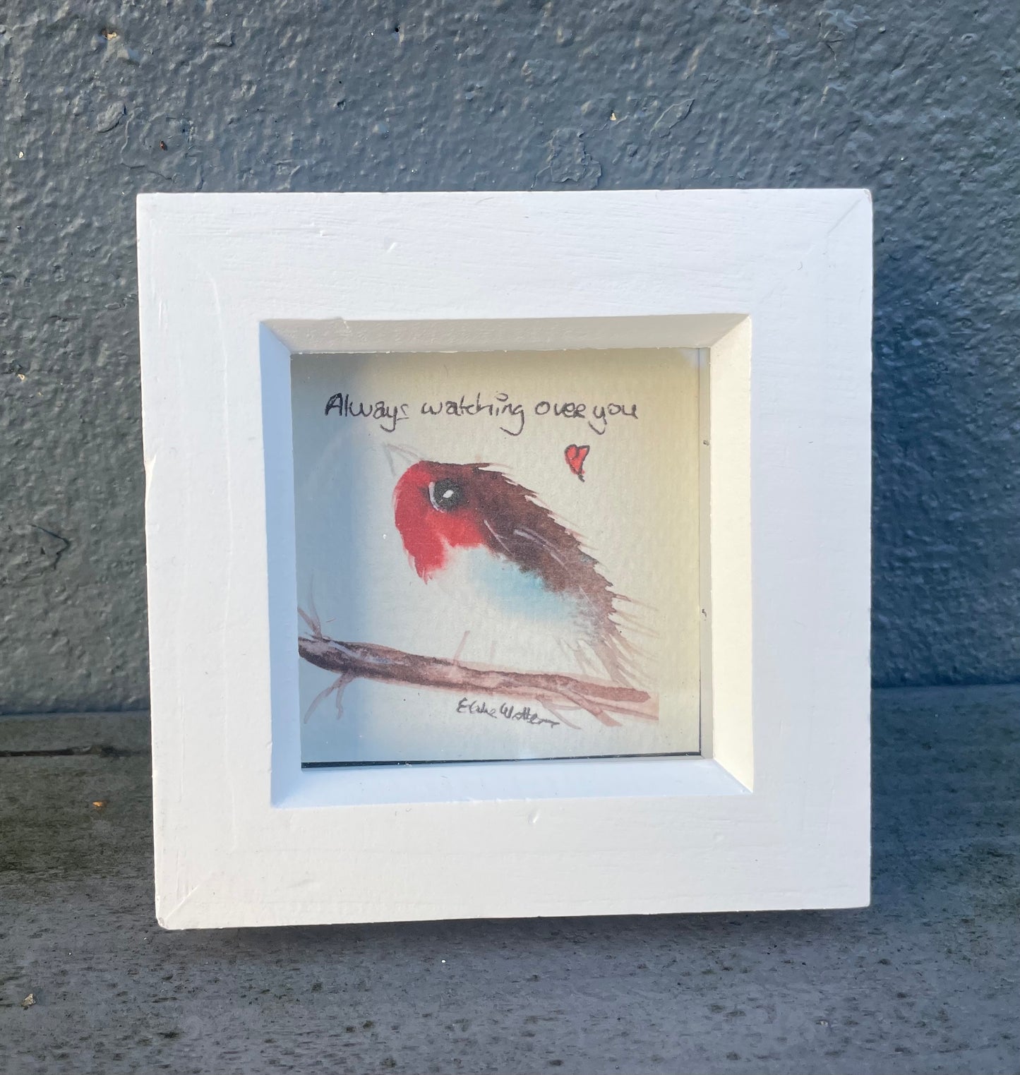 Robin mini gift set          ‘Always Watching’