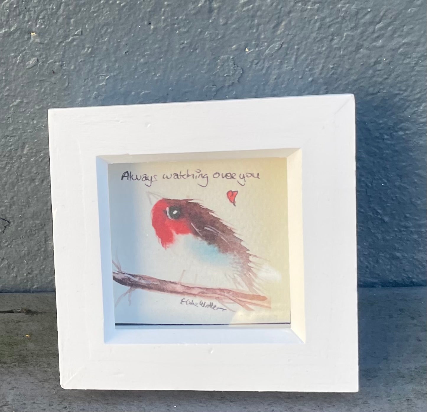 Robin mini gift set          ‘Always Watching’