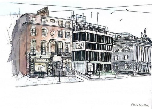 RCSI Shanahan's on the green, Irish architecture
